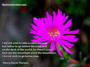 Henry David Thoreau Quotes 2